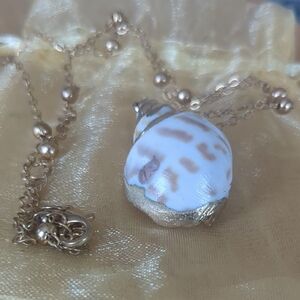 Delicate Gold Necklace with Shell Pendant